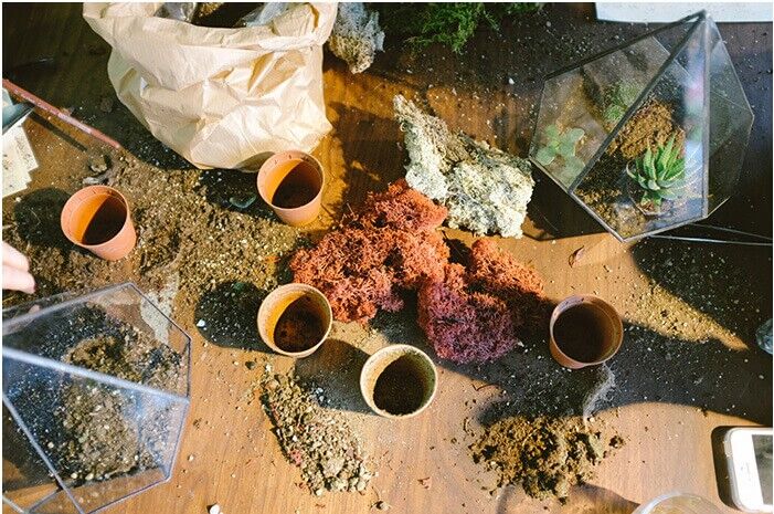 A tabletop covered with soil, small potted plants, red moss, rocks, a paper bag, and two glass terrariums in the process of being assembled. Gardening tools and supplies are scattered around.