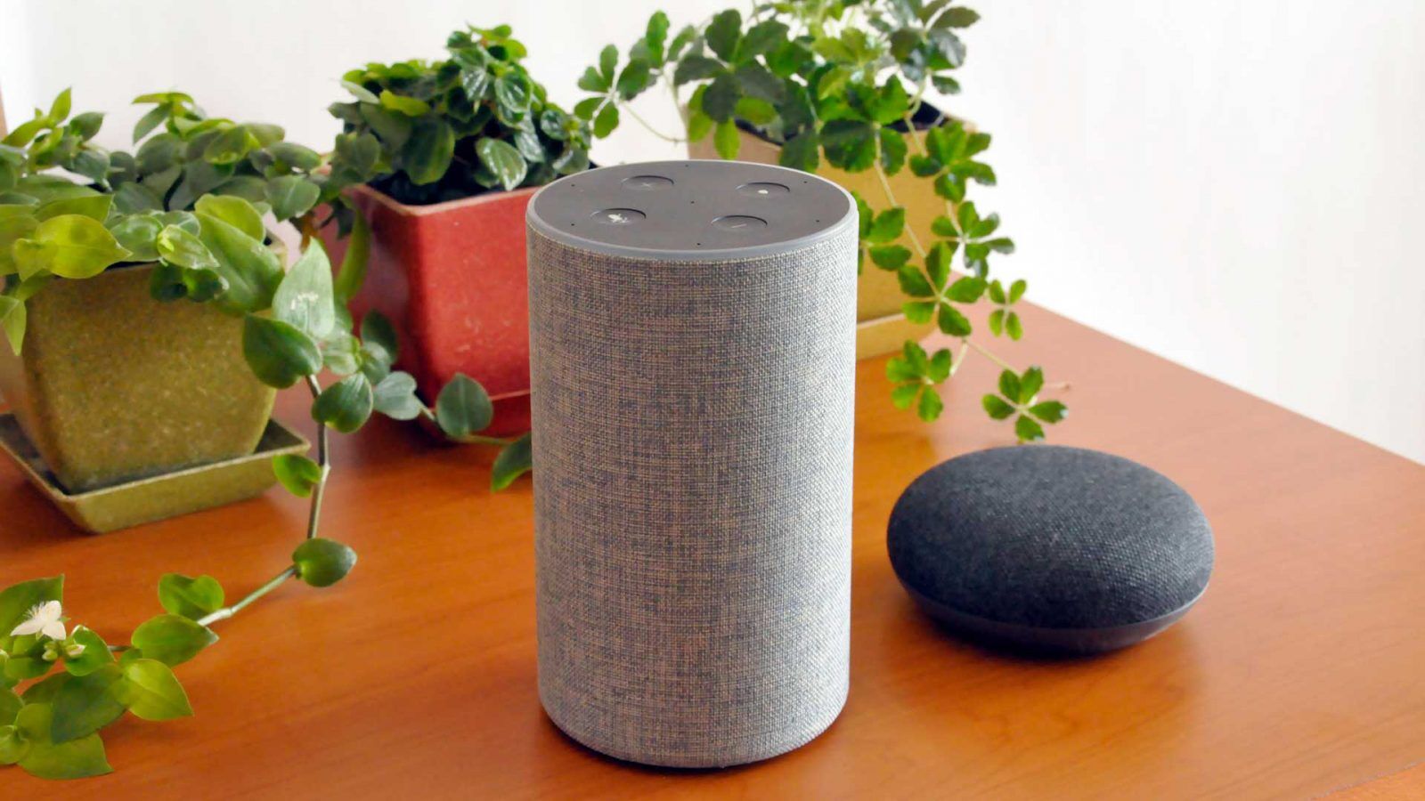 A gray smart speaker and a smaller black smart speaker sit on a wooden surface, surrounded by green potted plants in colorful containers.