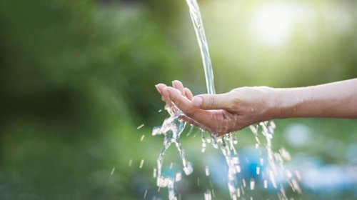 A close-up of a hand catching and holding flowing water outdoors, with green foliage and sunlight blurred in the background.