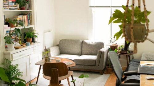 A cozy living room with a gray sofa, wooden table and chair, bookshelves filled with books and plants, and sunlight coming through a window. There are several potted plants around the room.