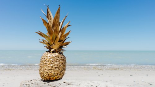 A golden pineapple sits on a piece of driftwood on a sandy beach with calm, pale blue water and a clear blue sky in the background.