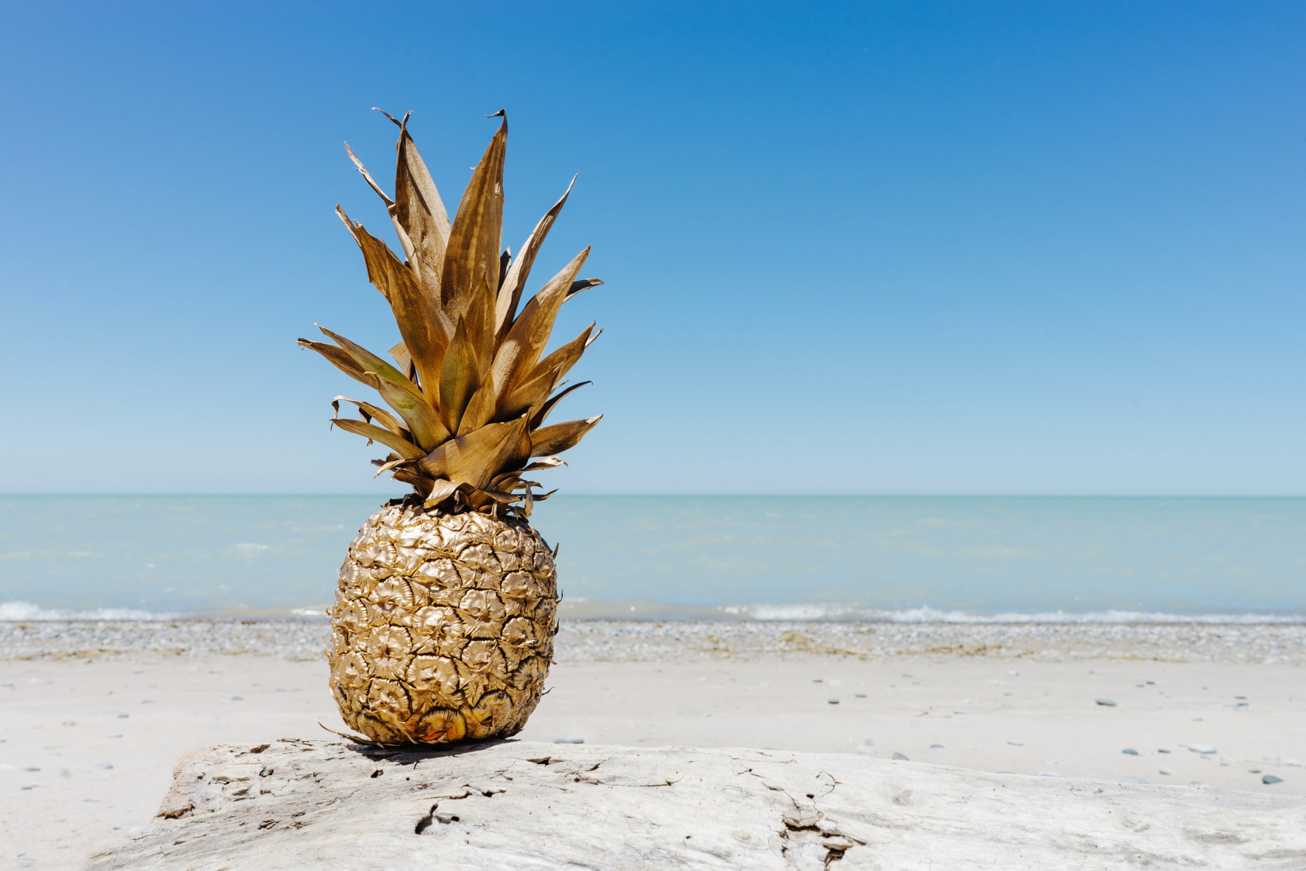 Pineapple on a beach