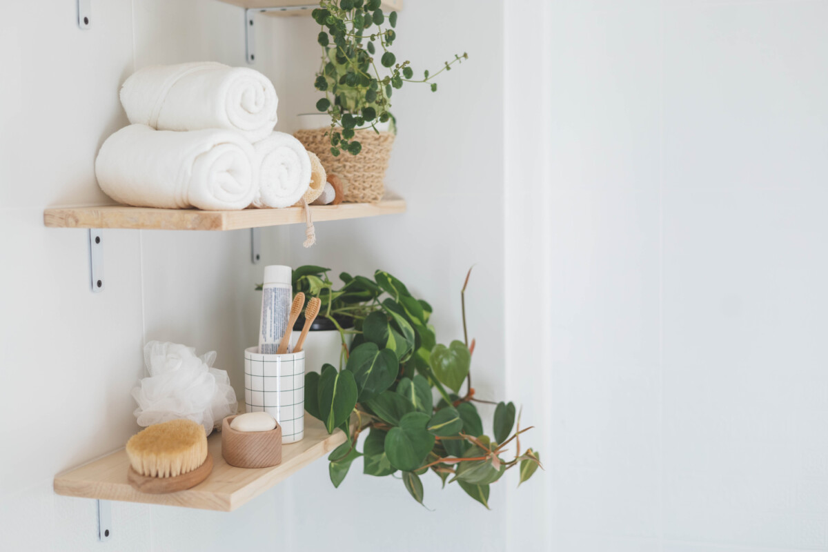 Bathroom wooden shelves eco friendly body care tools with potted plant neatly arrangement storage